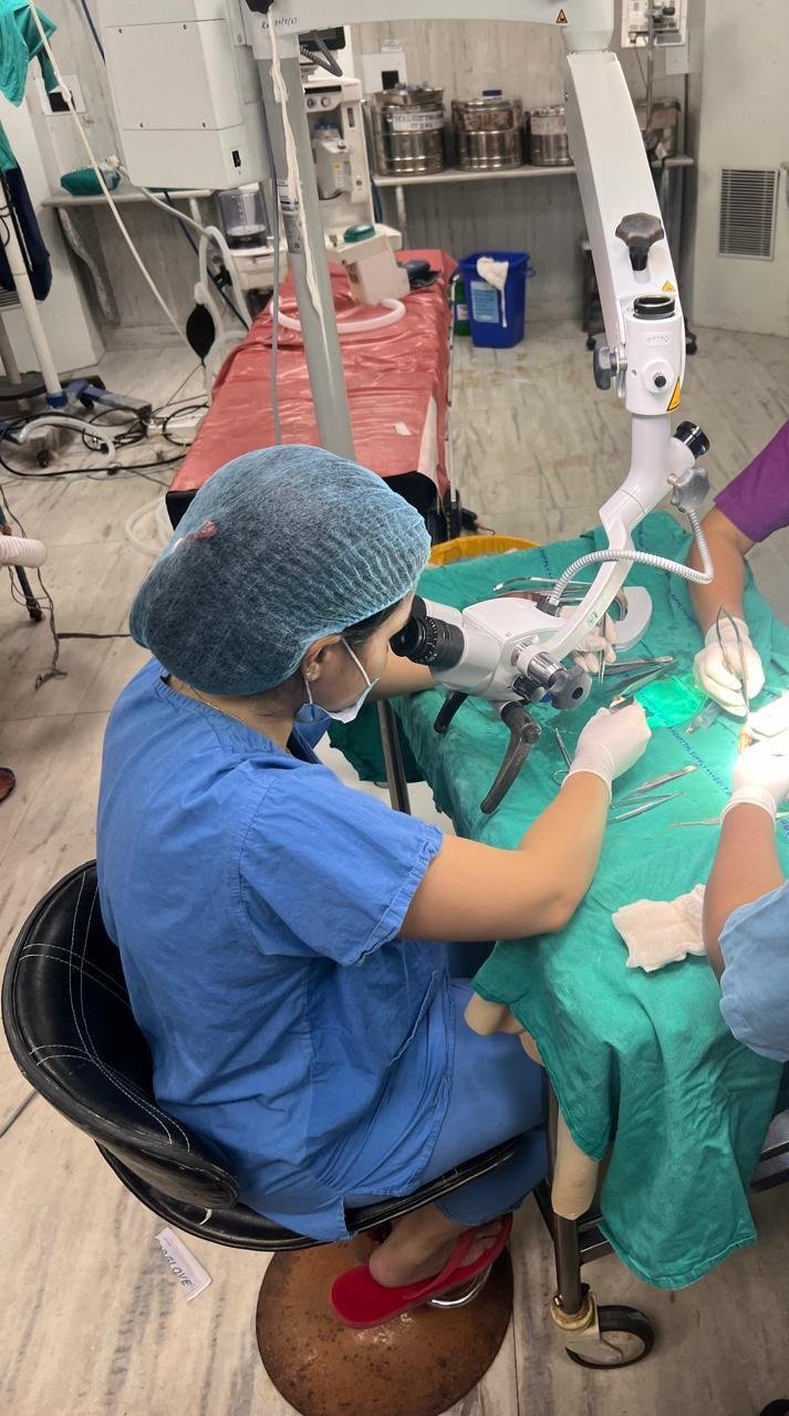 Dr. Dipasmita Sarma at a plastic surgery conference